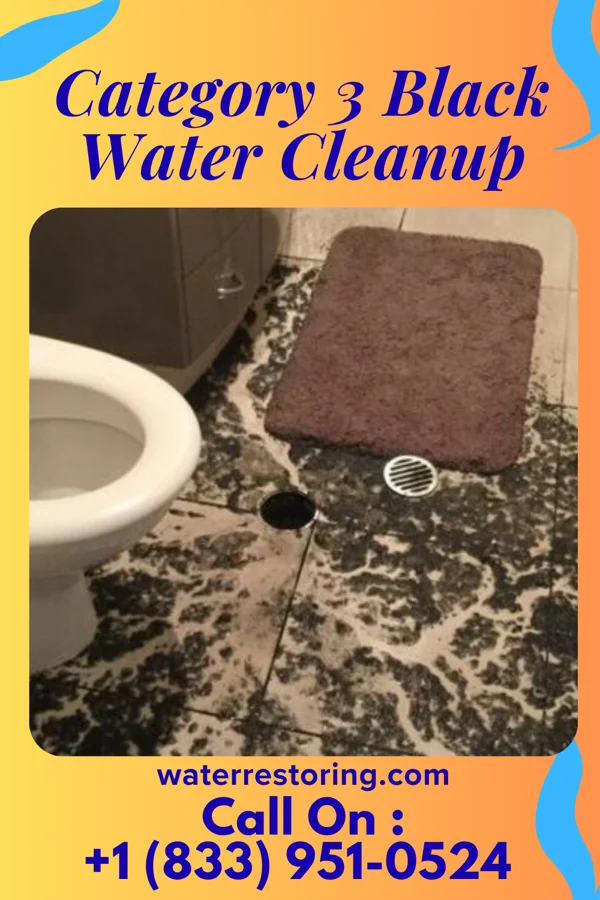 Category 3 Black Water Cleanup in Carlin, NV
