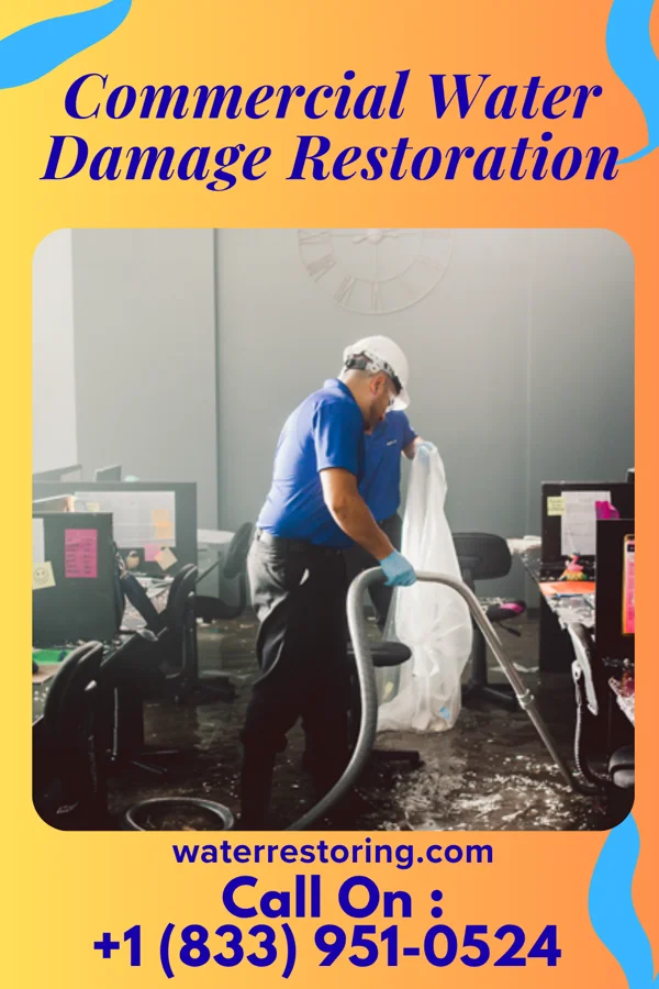 Commercial Water Damage Restoration in Carlin, NV