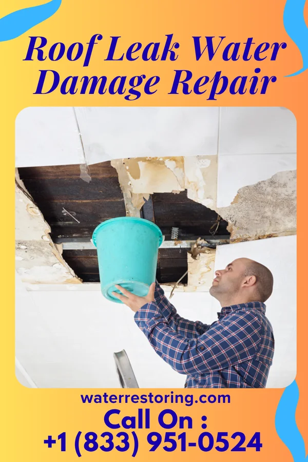 Roof Leak Water Damage Repair in Carlin, NV