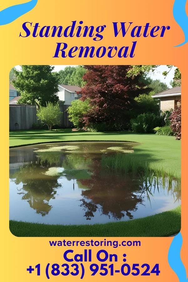 Standing Water Removal in Carlin, NV